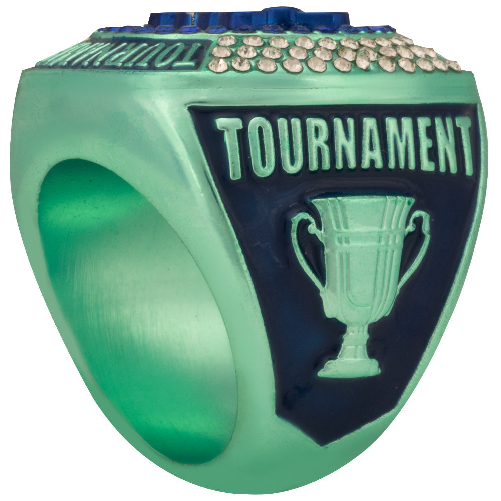 NSA Tournament Ring - Purple and Teal