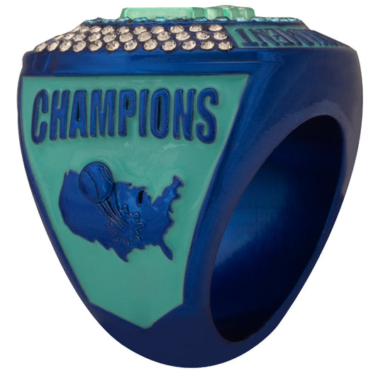 NSA Tournament Ring - Purple and Teal