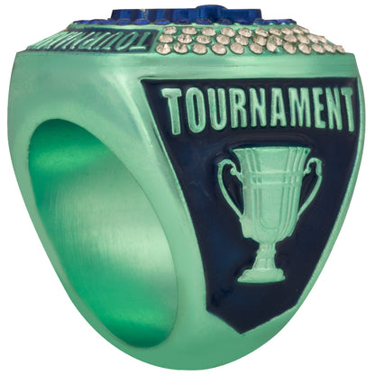NSA Tournament Ring - Purple and Teal