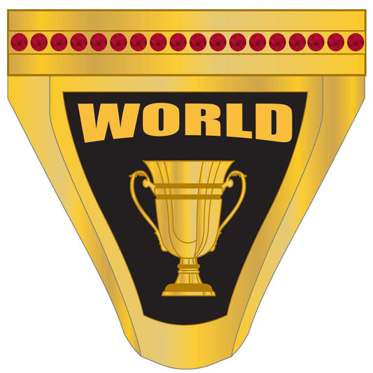 NSA World Series Ring